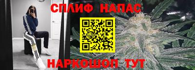 меф Краснознаменск