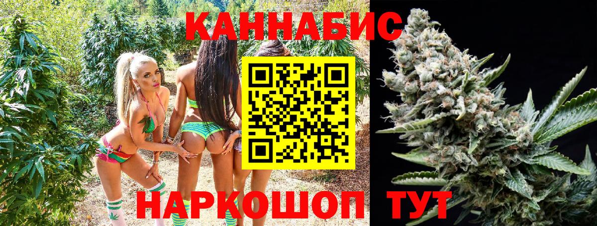 Бошки Шишки индика Кизилюрт